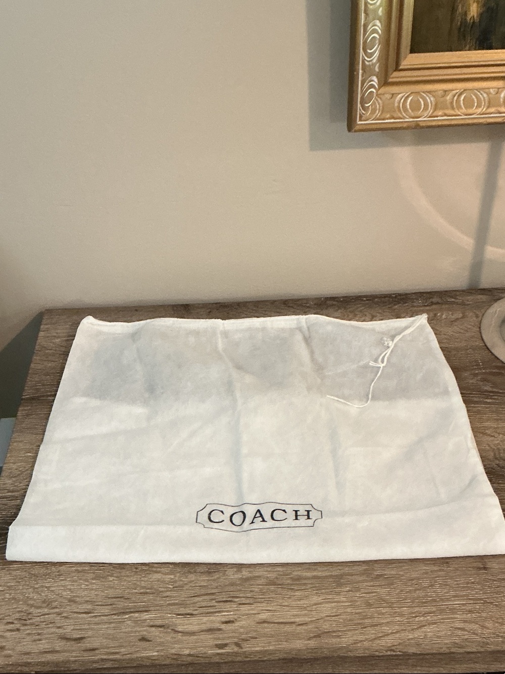 Coach White Logo Drawstring Pouch Dustbag Dust Bag Storage 18.5” x 24” EUC